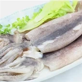 Sotong Bulat Seluruh